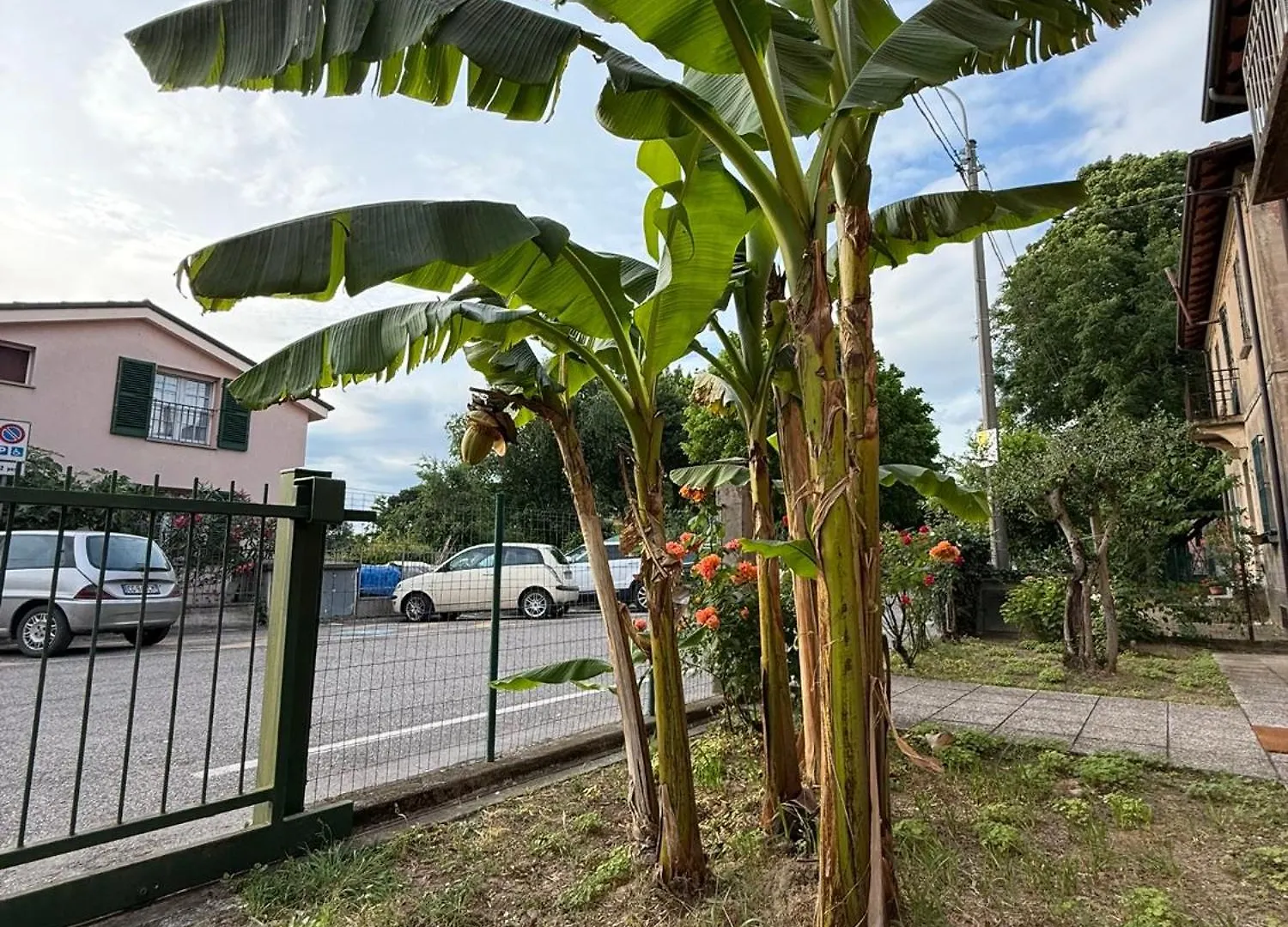 B&B Il Balcone Fiorito 伊莫拉 0*,  意大利